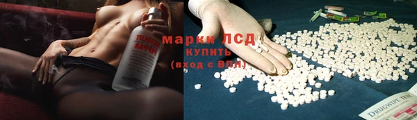 сатива Ахтубинск