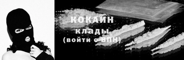ECSTASY Алзамай