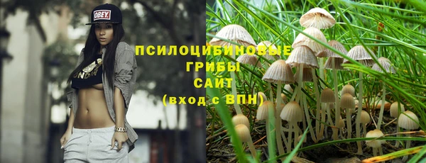 молекула духа Анжеро-Судженск