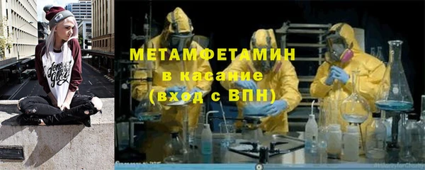 сатива Ахтубинск